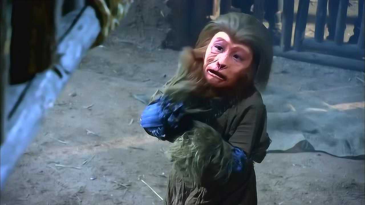 十二生肖传奇小猴子通人性能听懂人话还给被关的孩子们找吃的竟是灵猴