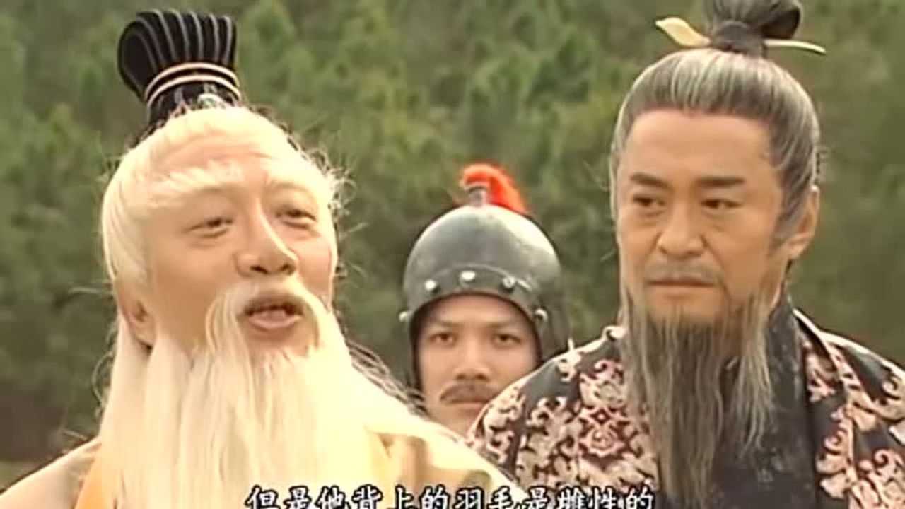 《封神榜》青鸾火凤情比金坚,一看到羽毛就知道彼此,真是鸾凤和鸣