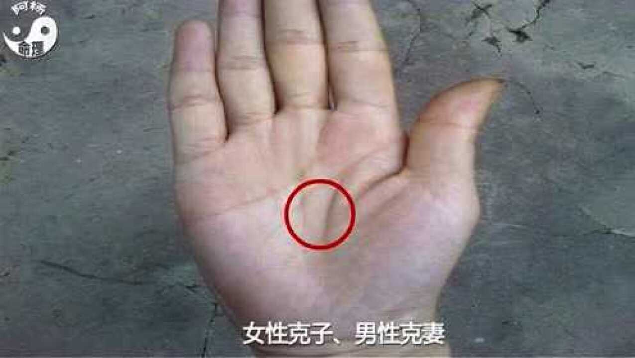 女手相图解女生命线分叉图解健康线出现代表什么