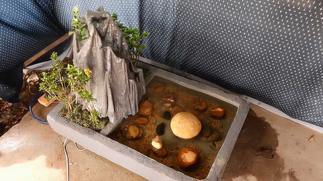 水泥模型鱼池图片