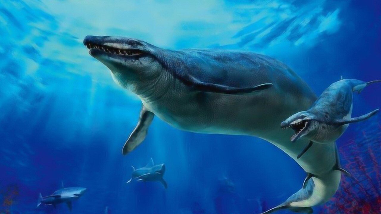远古时期的龙王鲸和沧龙对决,谁才是真正的海洋霸主?