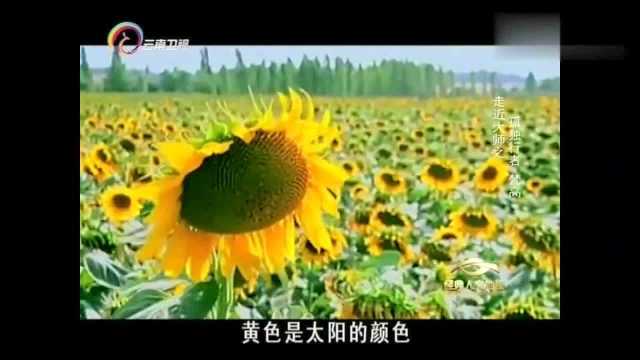 梵高7,梵高的画生前无人欣赏,去世后却价值连城,不由让人惋惜