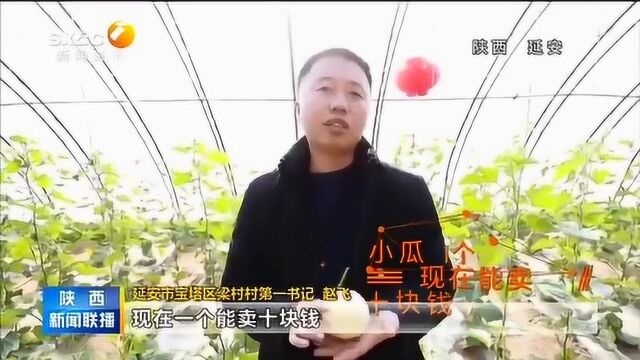 陕西新闻联播:乡村农业统一化管理,农民翻身把歌唱