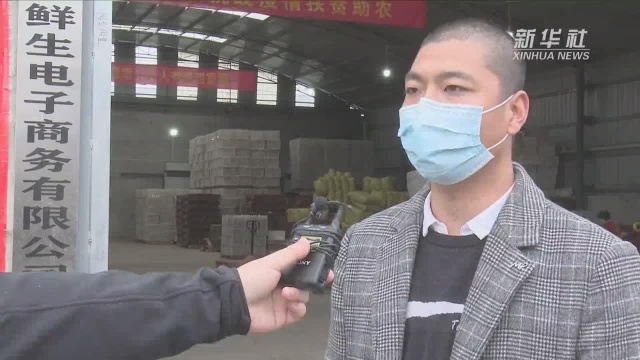 陕西:农产品“上云上网”拓销路