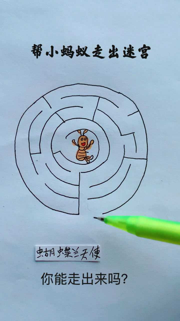 帮小蚂蚁走出迷宫