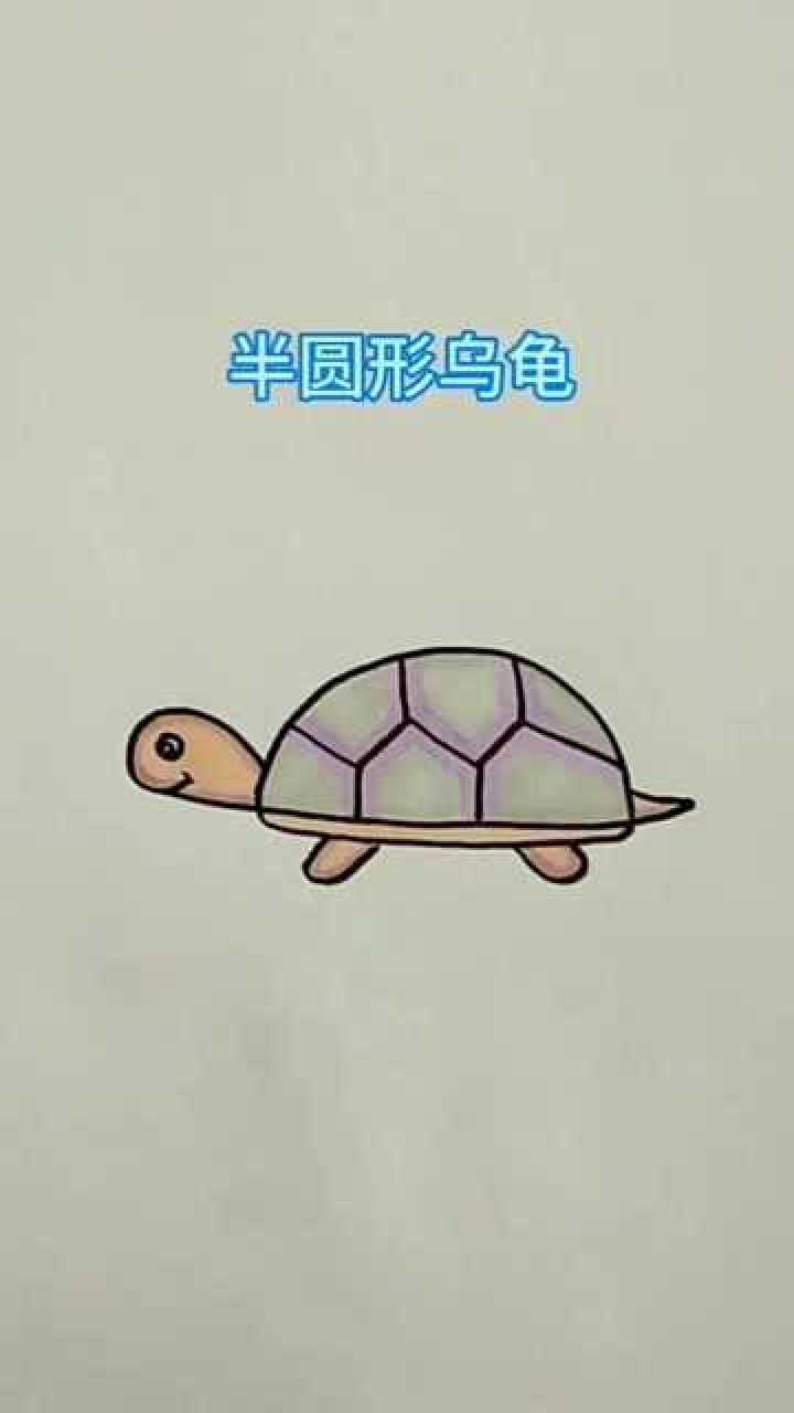 半圆形乌龟简笔画图片