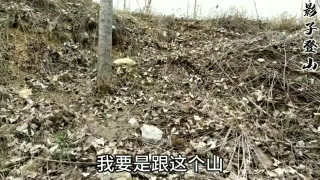 曲阜尼山圣境,迷茫了,不通车来回四十多公里天明走到天黑