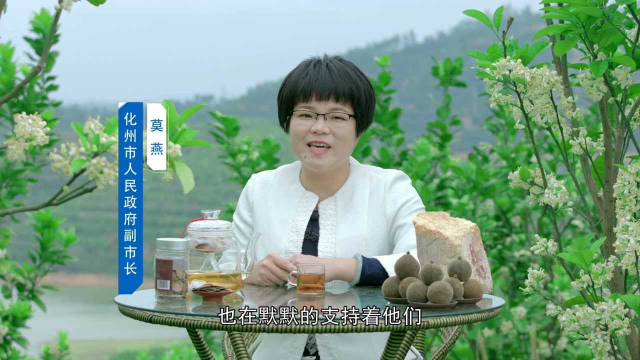 化州市长莫燕为化橘红带货