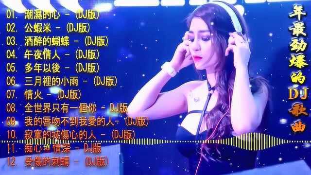 美女视频 最新超高音质的DJ歌曲 串烧 劲爆车载 抖音热播DJ舞曲