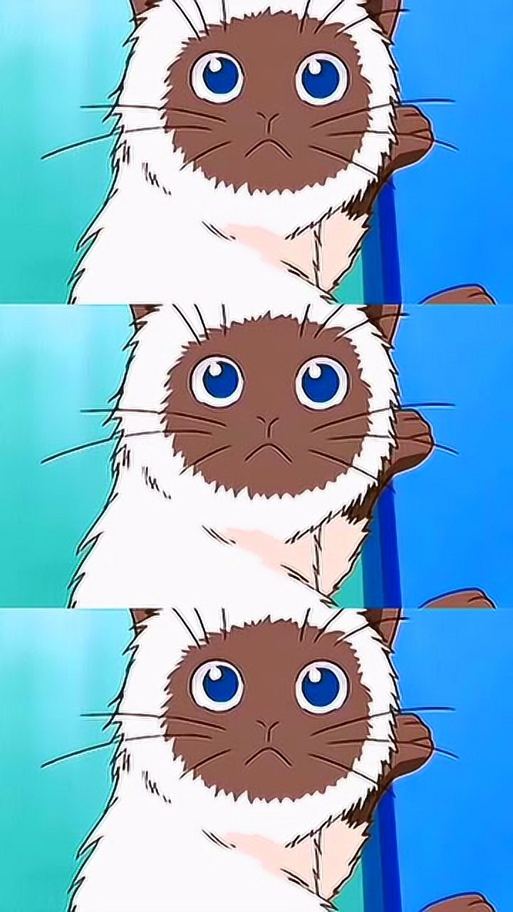 网球王子 :卡鲁宾好可爱