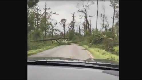 美国密西西比复活节碰上龙卷风 现场树木倒塌一片狼藉