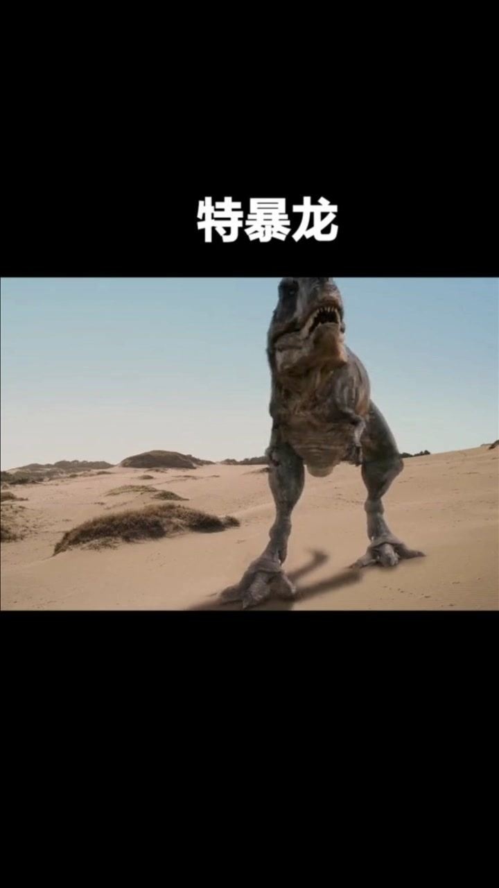 特暴龙生存于白垩纪晚期体长可达12米最重75吨