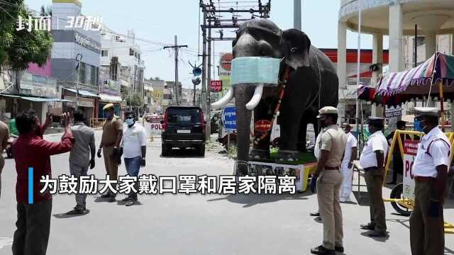 30秒|印度警察再出“抗疫奇招”:给仿真大象戴上口罩