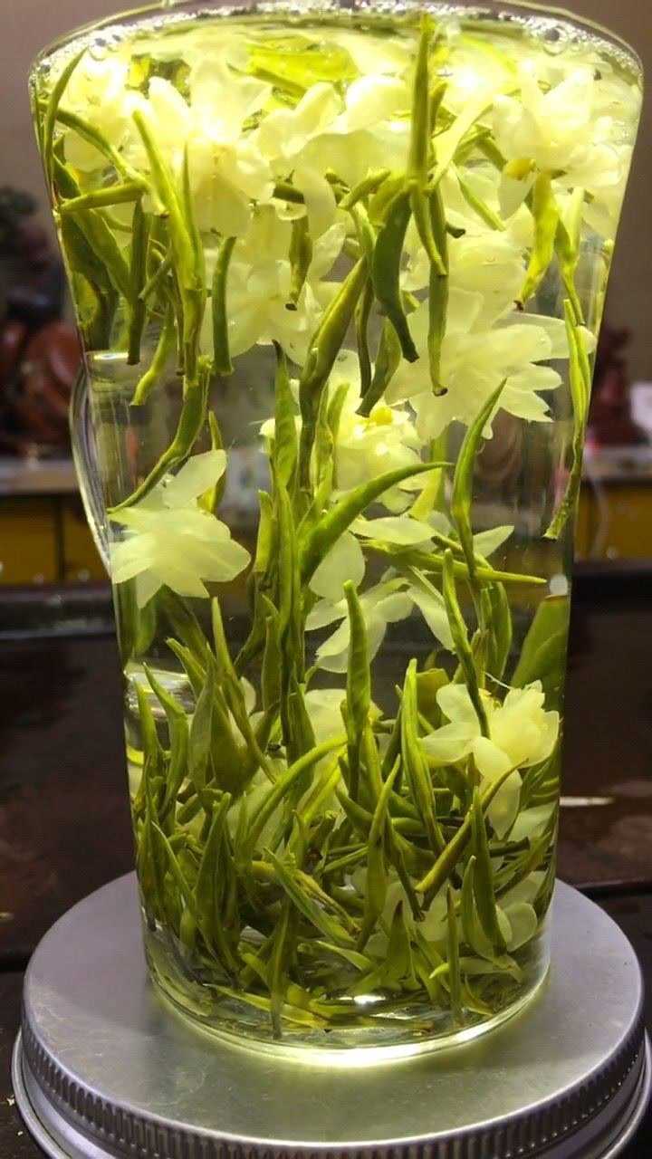 气味芳香的茉莉花茶,泡到水里的样子太梦幻了