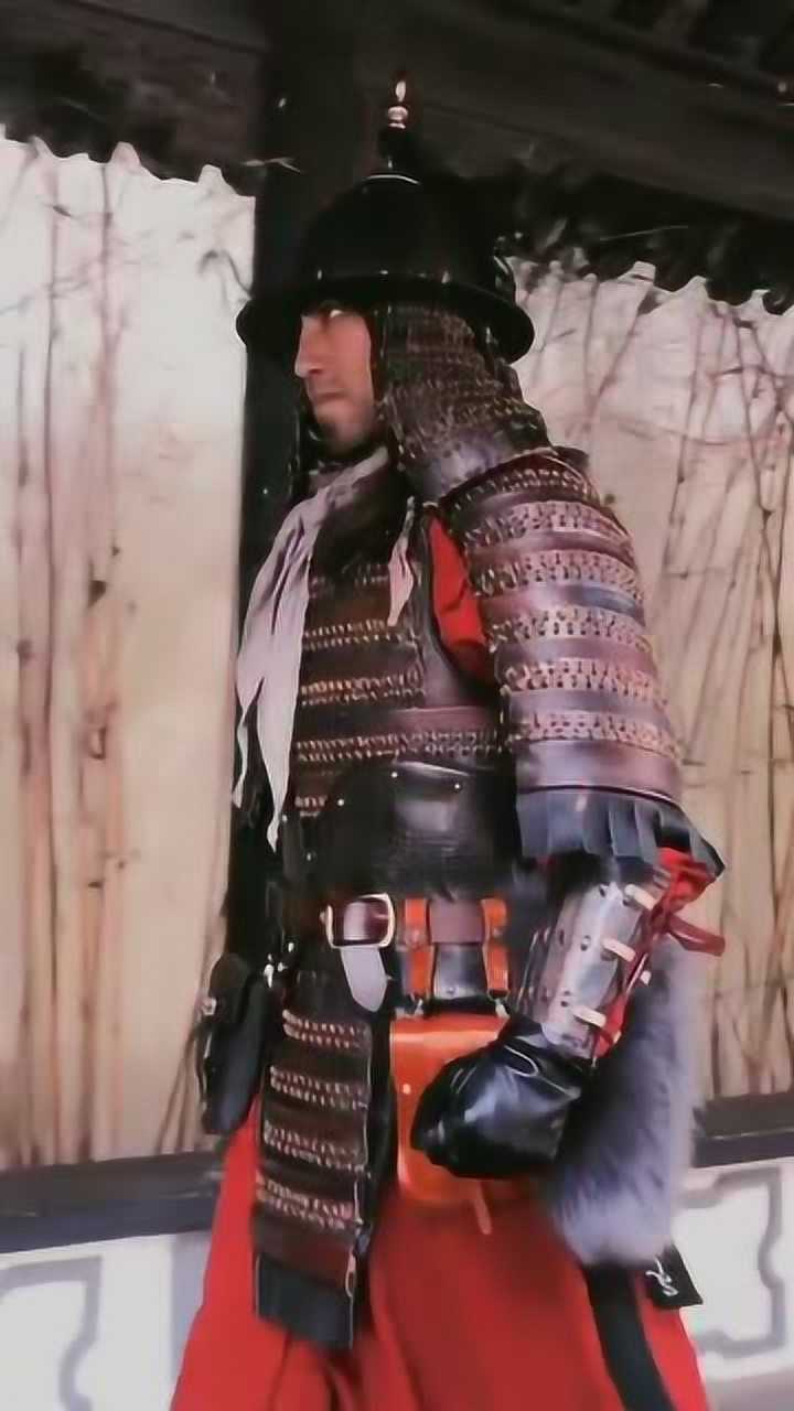 陛下,大明戚家军救驾来了,这盔甲太帅气了!