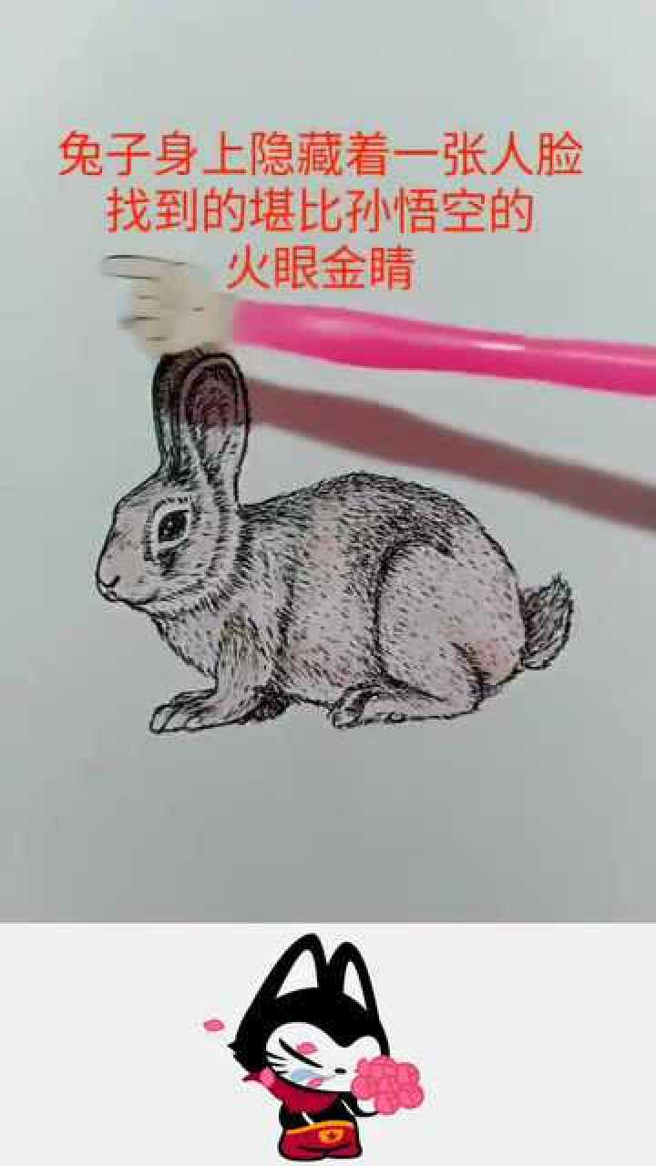你是火眼金睛吗兔子身上隐藏着一张人脸,找到的都是人才
