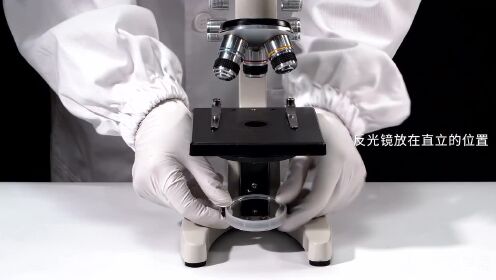 显微镜的使用