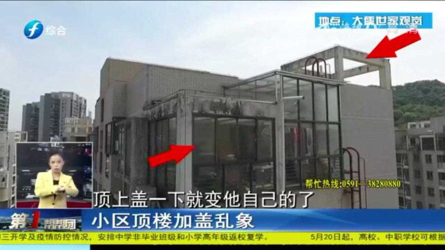 又搭建了!小区顶楼搭建“阳光玻璃房”,满满的田园生活气息!