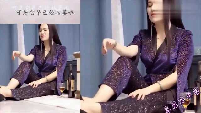 痴情女歌手一首《爱大了受伤了》,经典伤感情歌,怎么听都不够