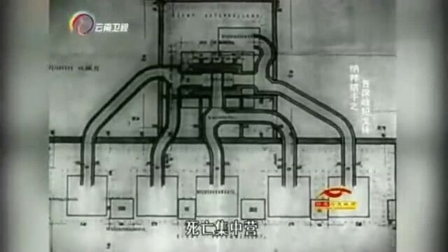 纳粹猎手,二战期间纳粹犯下滔天罪行,600万犹太人被无情屠杀