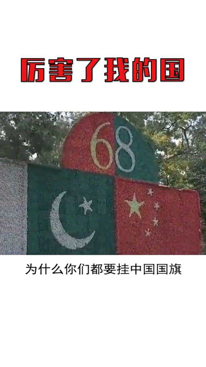 中巴关系原来好到这种程度为中巴友谊点赞经纪人小微