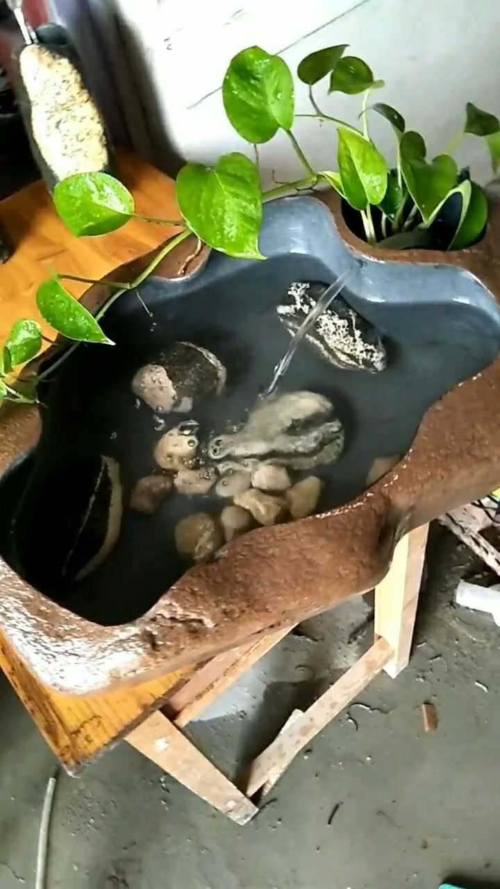 这个泰山石鱼缸有点大,但款式还挺不错的!