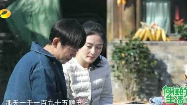 谢娜,何炅偷看赵丽颖日记,被颖宝小学作文水平逗笑