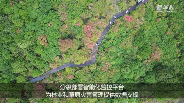 国家林业和草原局与中国铁塔开展战略合作 全面提升林草行业防灾减灾治理能力