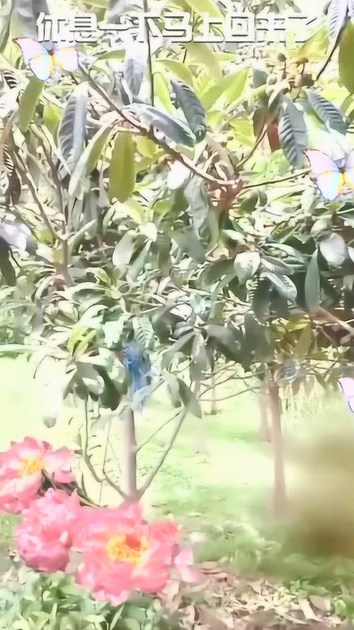 休息一下马上回来了_高清1080P在线观看平台_腾讯视频