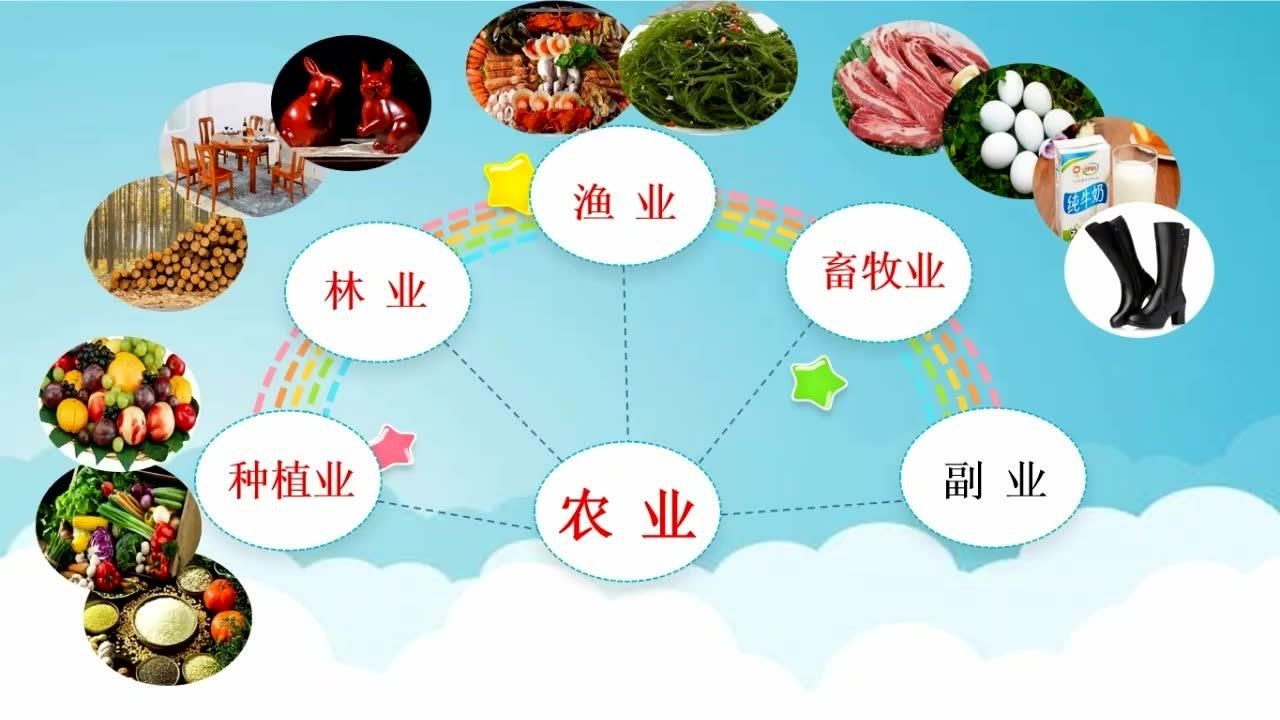 4年级道德与法治第7课我们的衣食之源第2课时