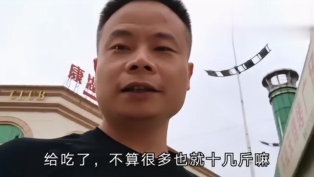 搭讪女销售员,约她晚出来玩,没想到晚上带了好多美女出来