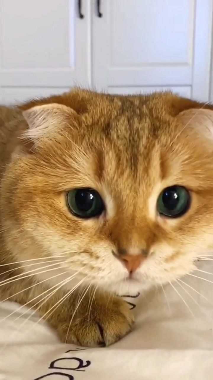 戴上美瞳凑近也要把你看个仔细