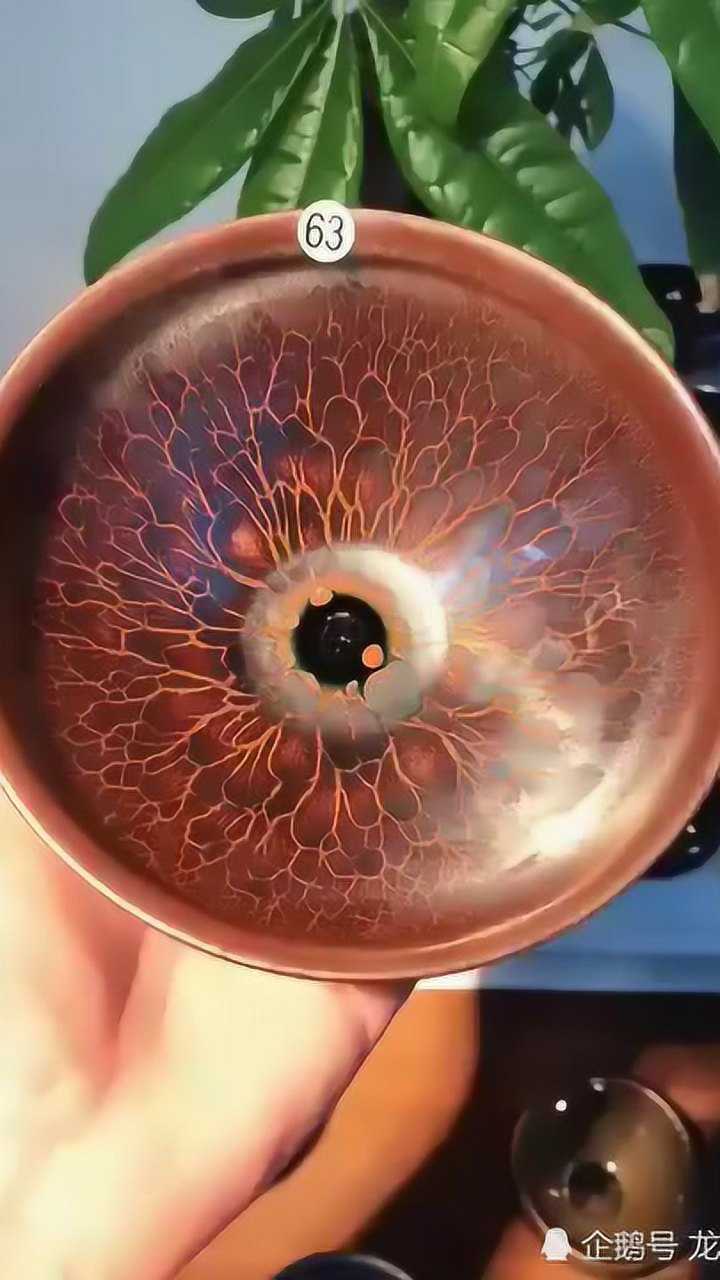 潘圣浩墨莲柴烧建盏