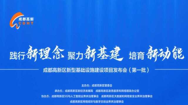 成都高新区新型基础设施建设项目发布会(第一批)【测试】