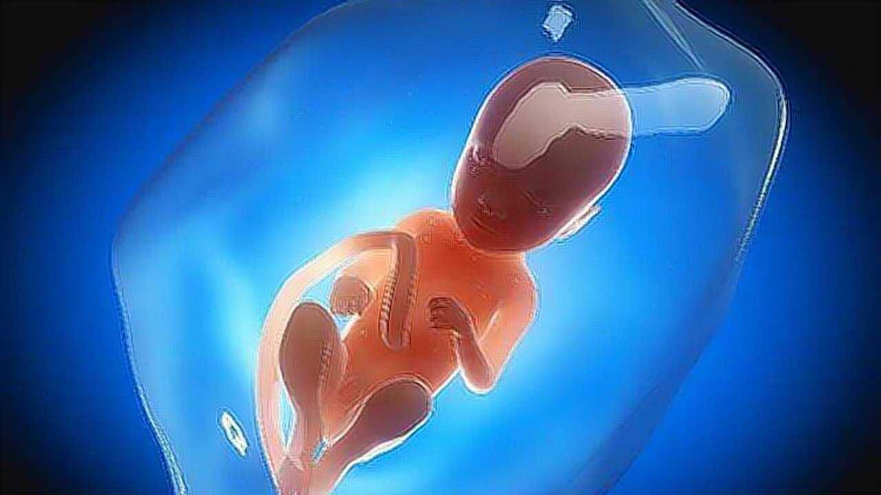 60天的胎儿被妈妈放弃流产后的样子有这些结局