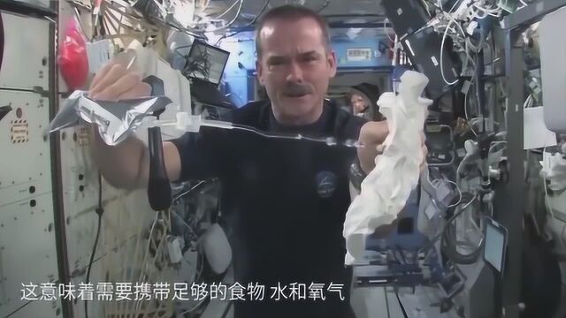 藻类可作为太空的生命支持?研究发现是这结果,涨知识!