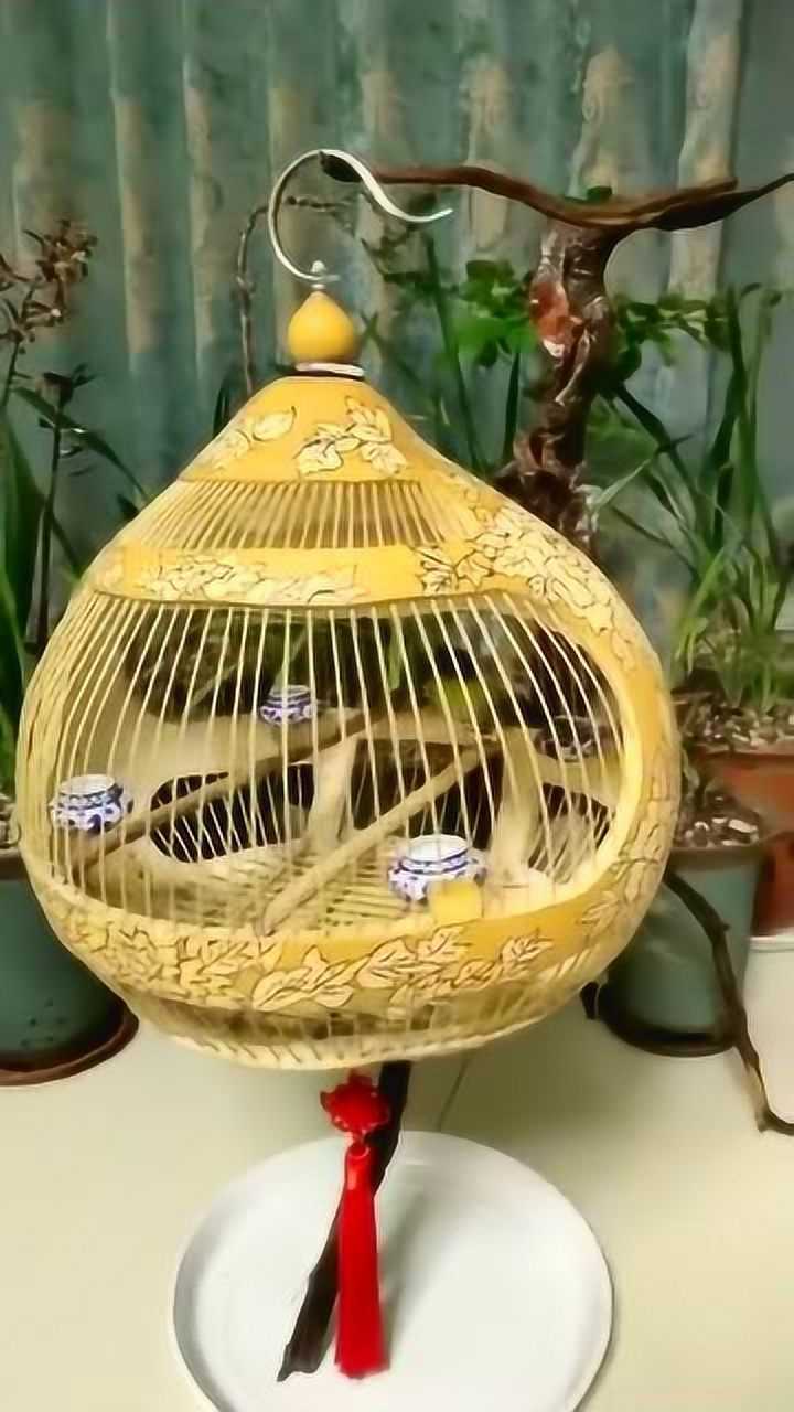 葫芦雕刻做的鸟笼要是不告诉我这是葫芦雕刻的我还真不信