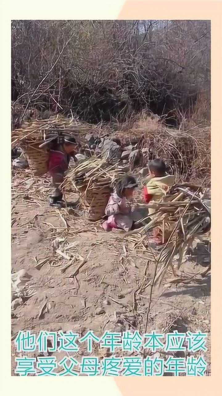 大凉山贫困山区的孩子们,每天生活却是如此辛苦_腾讯视频