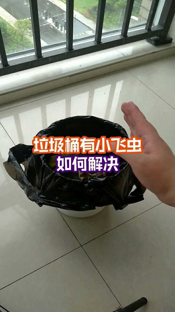 夏天垃圾桶总有小飞虫跟我学一招赶走