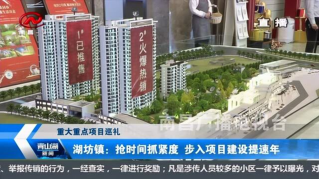 青山湖新闻 湖坊镇:抢时间抓紧度 步入项目建设提速年