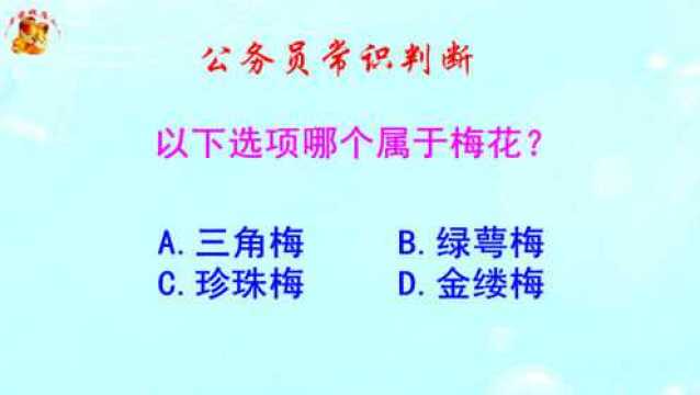 公务员常识判断,以下哪个选项属于梅花?难倒了学霸