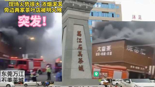 东莞万江茶叶市场内茶饮店发生大火,探访被大火烧后的火灾现场