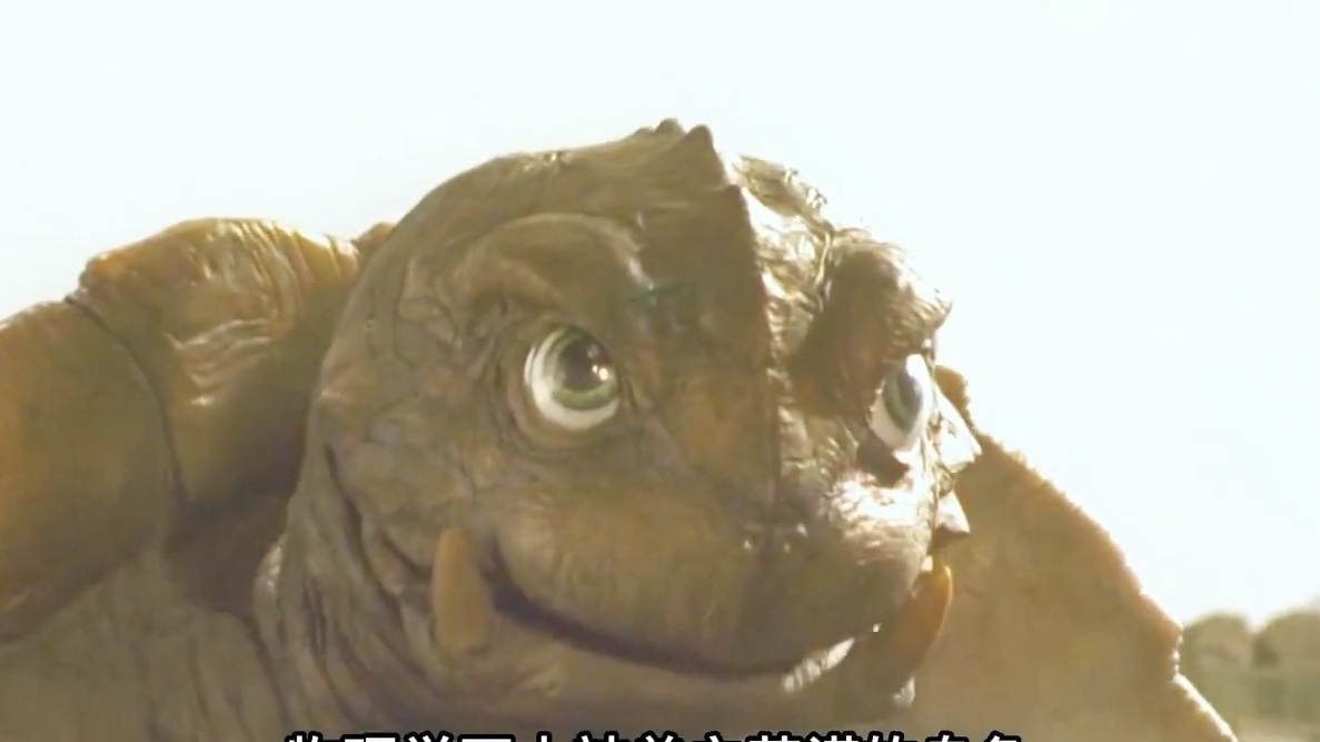 物理学四大神兽—芝诺的乌龟