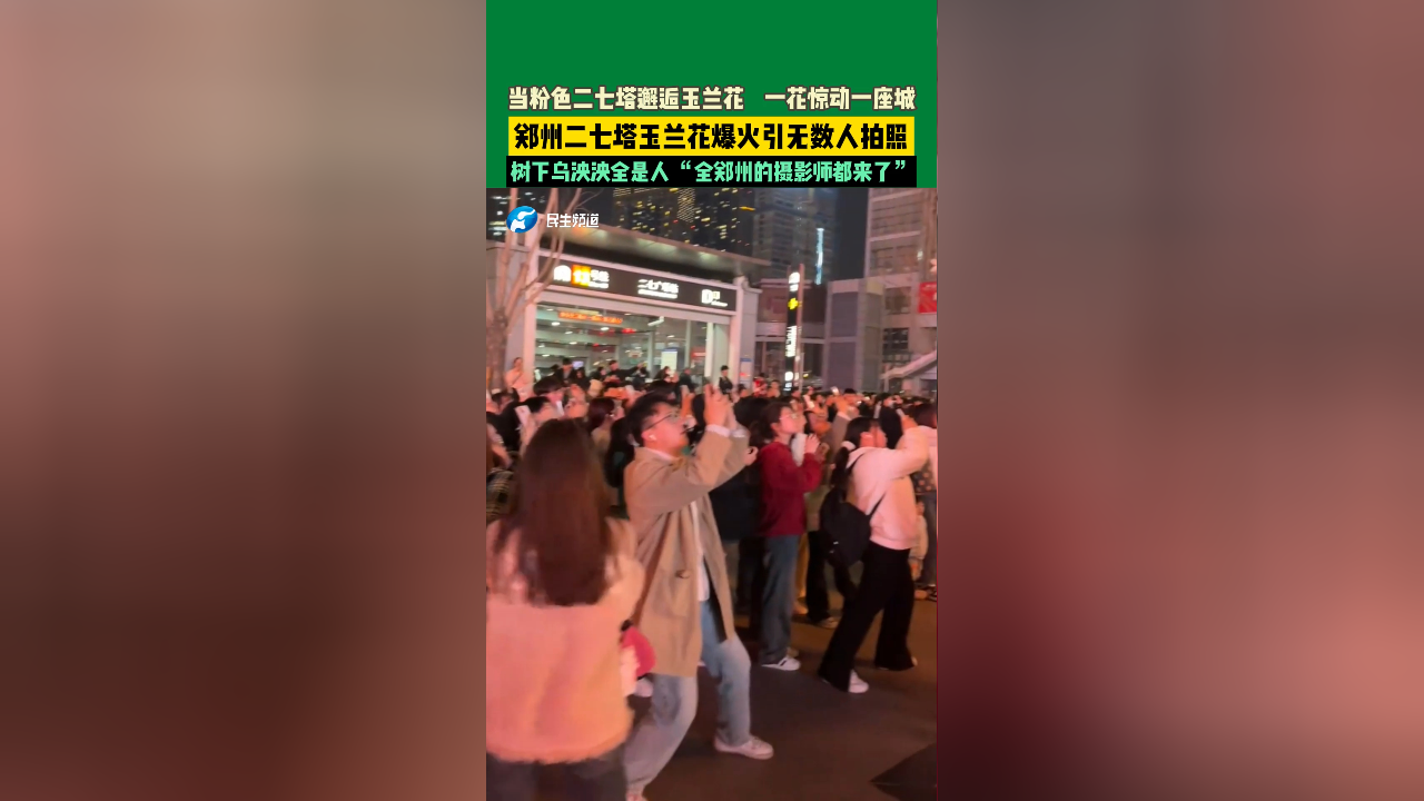 郑州二七塔玉兰花爆火引无数人拍照,一花惊动一座城,树下乌泱泱全是人_腾讯新闻