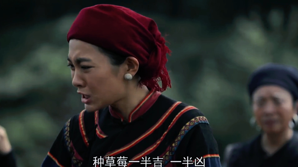 金色索玛花:整整100亩草莓地,却因为村民们无知的行为,赔个精光