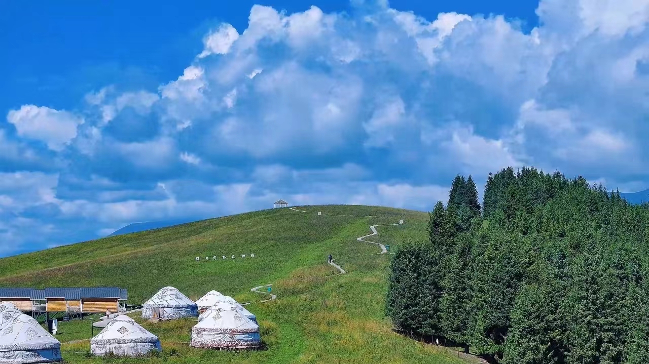 新疆特克斯蓝天白云绿草如浪