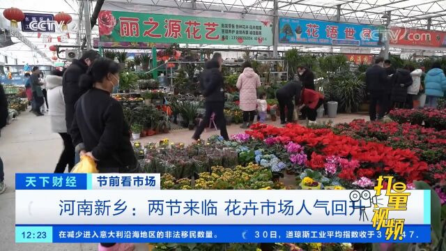 河南新乡:两节来临,花卉市场人气回升