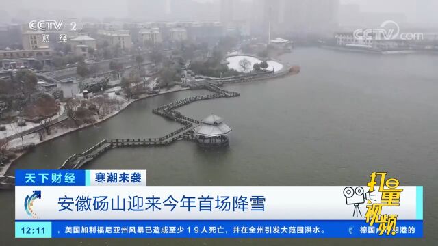 安徽砀山迎来今年首场降雪