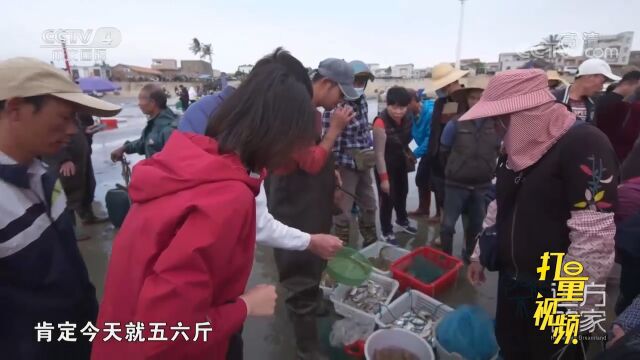 澳内海有四五百艘渔船,渔民大多来自周边社区