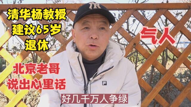 清华杨教授建议65岁退休,北京老哥直言不讳,说出自己心里话